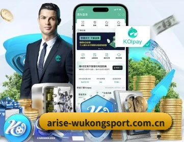 悟空体育网页版 APP 深度功能